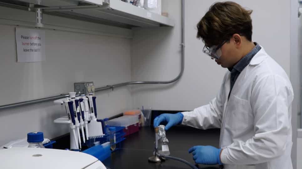 High-throughput Screening of Chemical Compounds to Elucidate Their Effects on Bacterial Persistence
