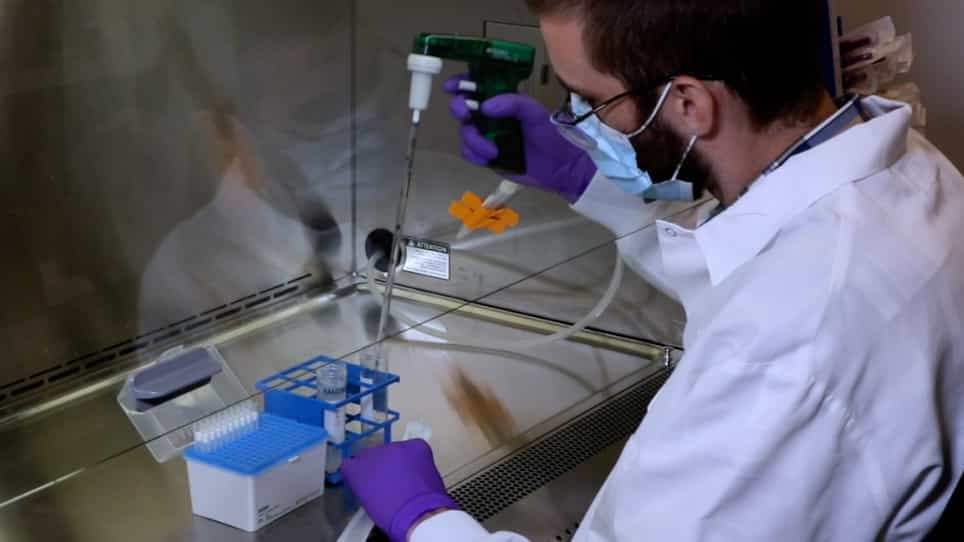 Investigating Target Gene Function in a CD40 Agonistic Antibody-induced Colitis Model using CRISPR/Cas9-based Technologies
