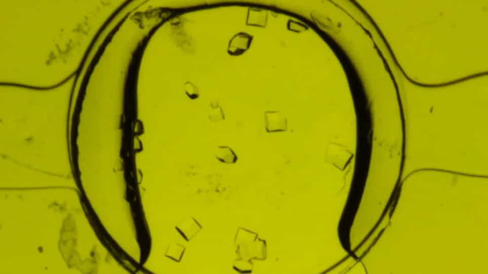 Crystallization of Proteins on Chip by Microdialysis for In Situ X-ray Diffraction Studies