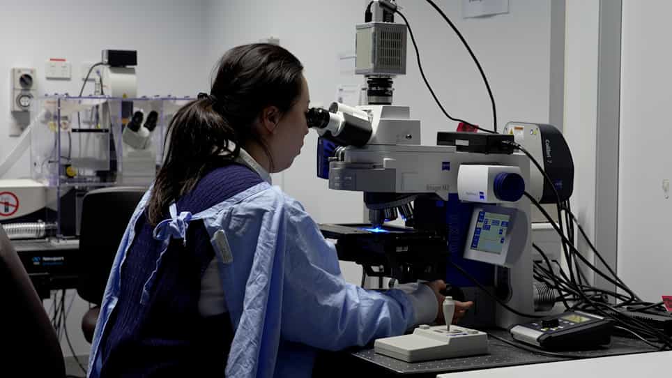 Combining Multiplex Fluorescence In Situ Hybridization with Fluorescent Immunohistochemistry on Fresh Frozen or Fixed Mouse Brain Sections