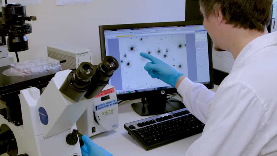 In Vitro Evaluation of Oncogenic Transformation in Human Mammary Epithelial Cells