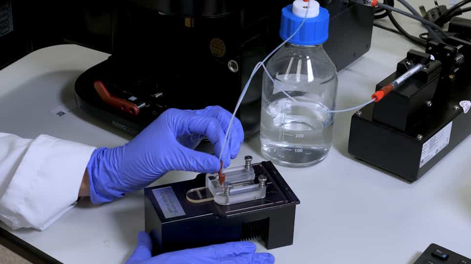 Nanoparticle Tracking Analysis of Gold Nanoparticles in Aqueous Media through an Inter-Laboratory Comparison