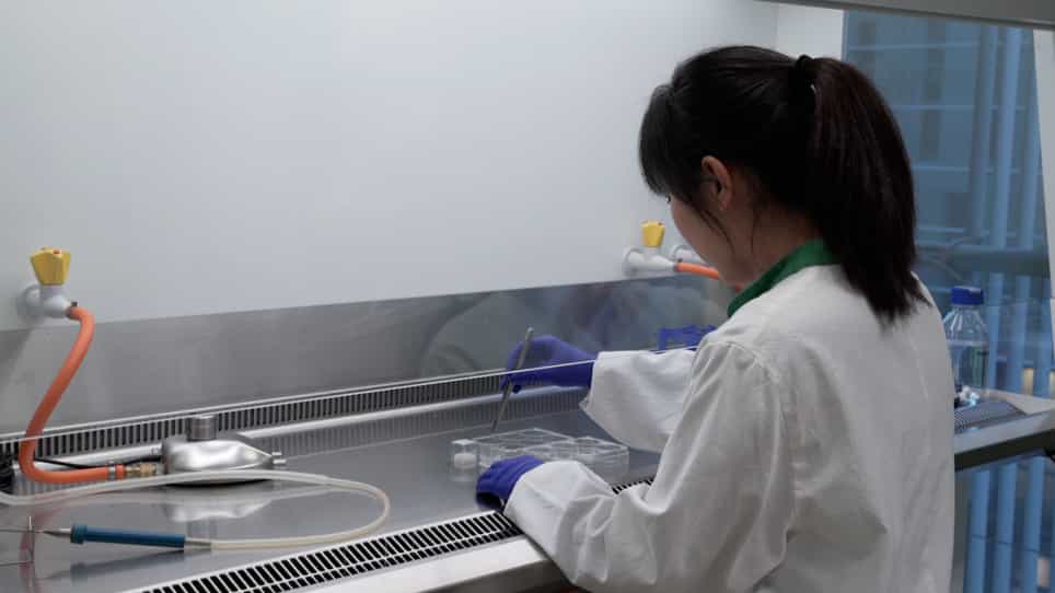 Studying TGF-β Signaling and TGF-β-induced Epithelial-to-mesenchymal Transition in Breast Cancer and Normal Cells