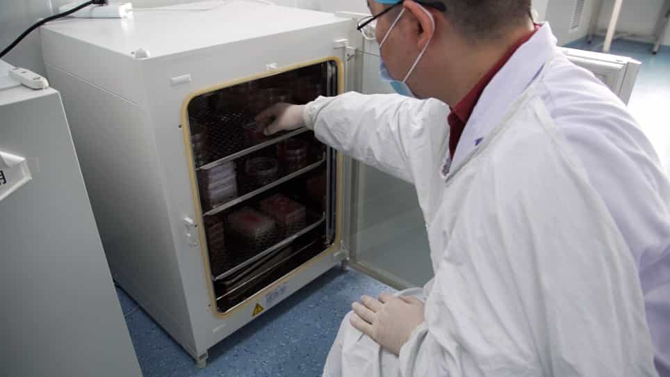 In vitro Assessment of Myocardial Protection following Hypothermia-Preconditioning in a Human Cardiac Myocytes Model