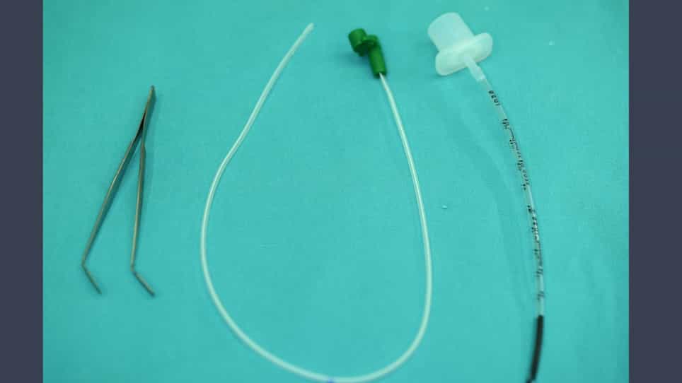Blind Endotracheal Intubation in Neonatal Rabbits