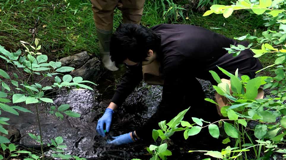 Evaluating the Impact of Hydraulic Fracturing on Streams using Microbial Molecular Signatures