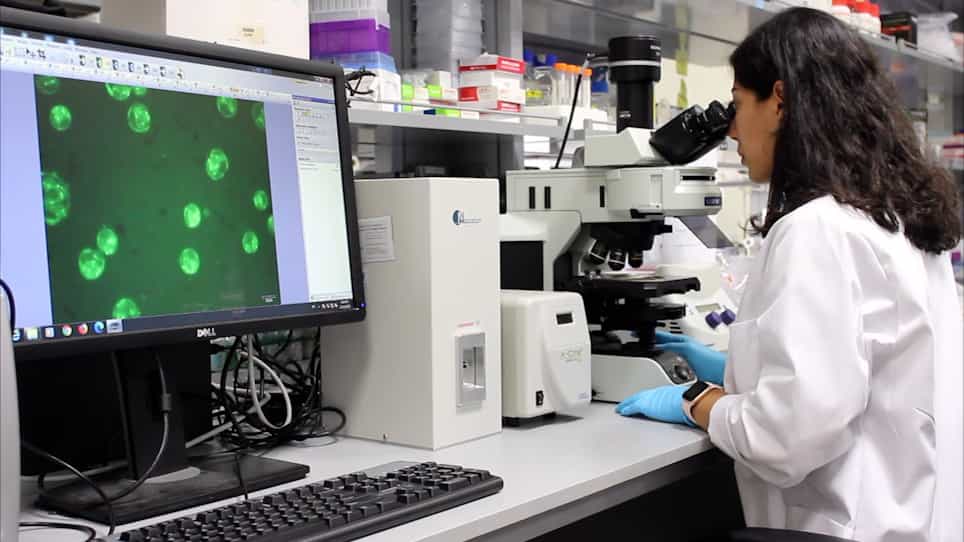 High-Throughput Metabolic Profiling for Model Refinements of Microalgae