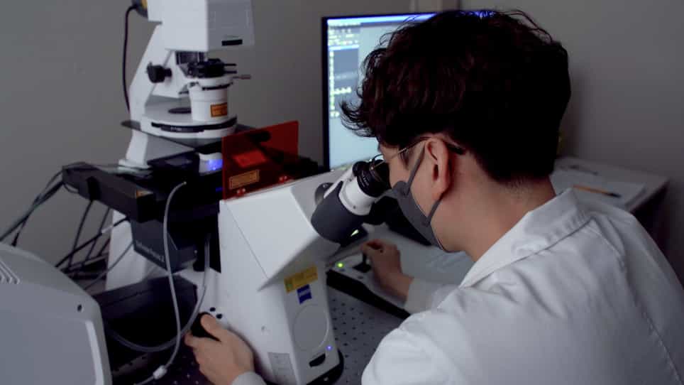In vitro Time-lapse Live-Cell Imaging to Explore Cell Migration toward the Organ of Corti