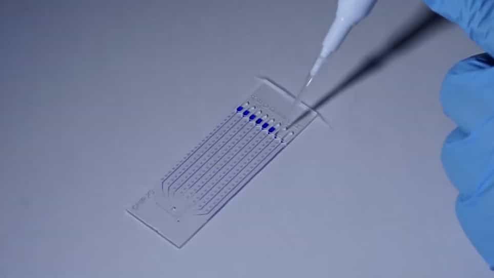 Crystallization and Structural Determination of an Enzyme:Substrate Complex by Serial Crystallography in a Versatile Microfluidic Chip