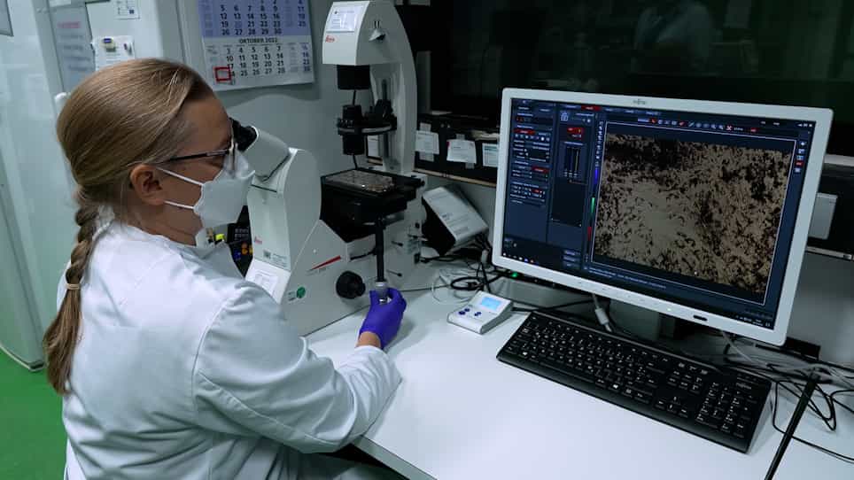 Electroporation-Based Genetic Modification of Primary Human Pigment Epithelial Cells Using the Sleeping Beauty Transposon System