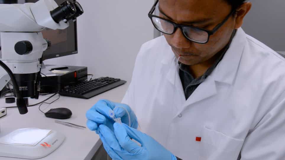 Gonadectomy and Blood Sampling Procedures in the Small Size Teleost Model Japanese Medaka Oryzias latipes