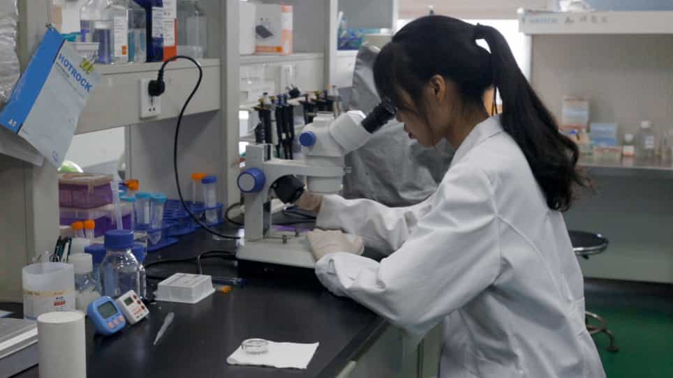Using Immunofluorescence to Detect PM2.5-induced DNA Damage in Zebrafish Embryo Hearts