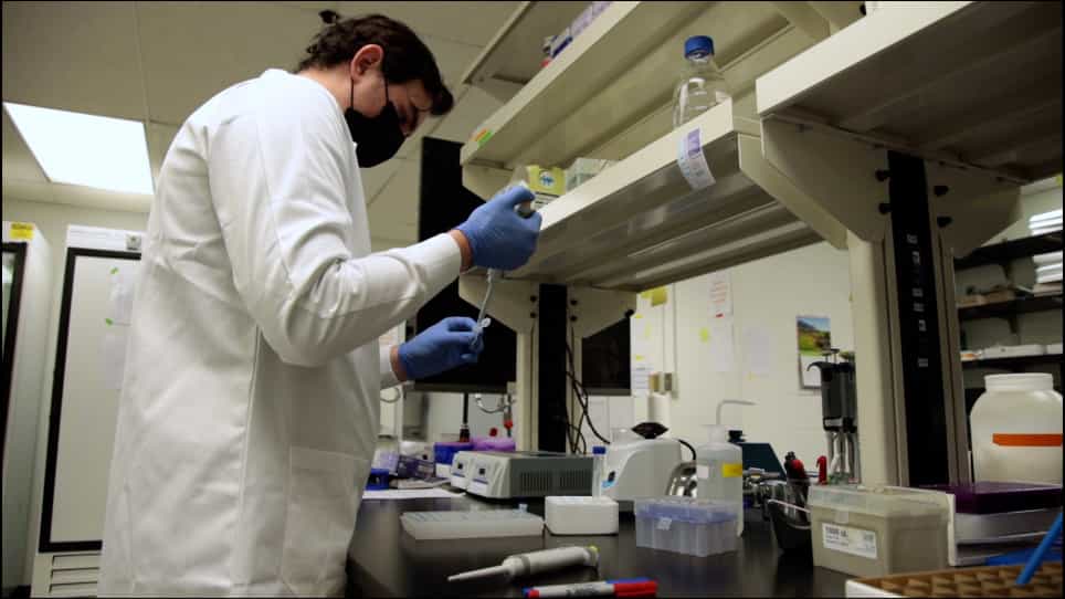 A Rapid Food-Preference Assay in Drosophila