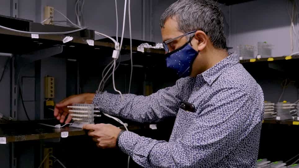 The Sleep Nullifying Apparatus: A Highly Efficient Method of Sleep Depriving Drosophila