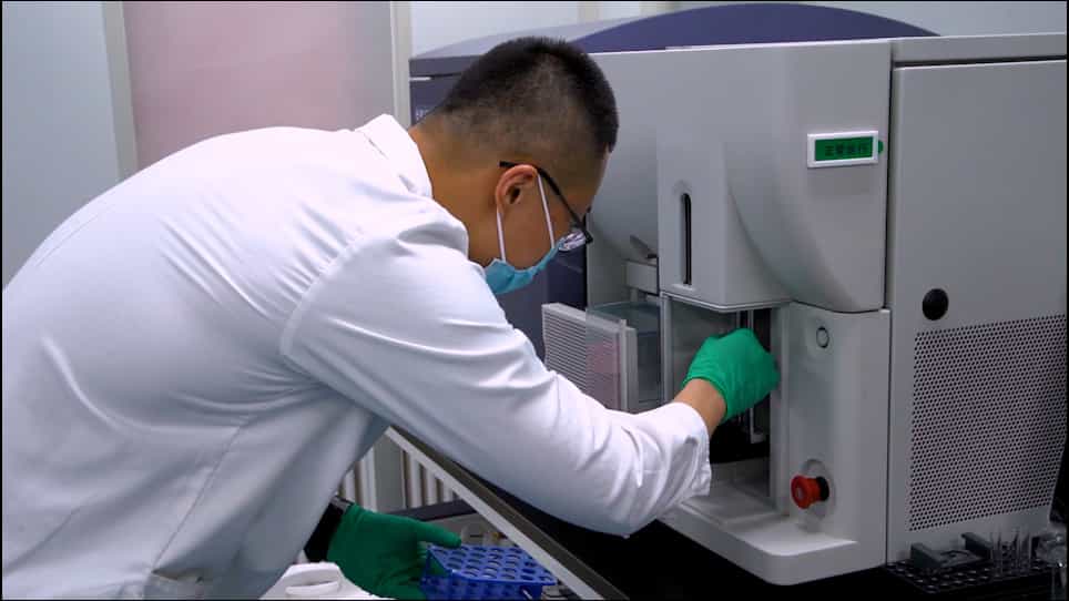 Transplantation of Neonatal Mouse Cardiac Macrophages into Adult Mice