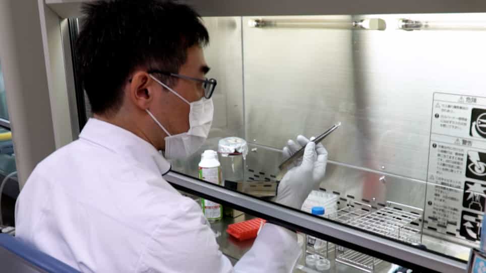 Sarcomere Shortening of Pluripotent Stem Cell-Derived Cardiomyocytes using Fluorescent-Tagged Sarcomere Proteins.