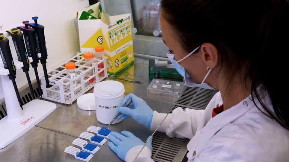 Patient-Derived Tumor Explants As a "Live" Preclinical Platform for Predicting Drug Resistance in Patients