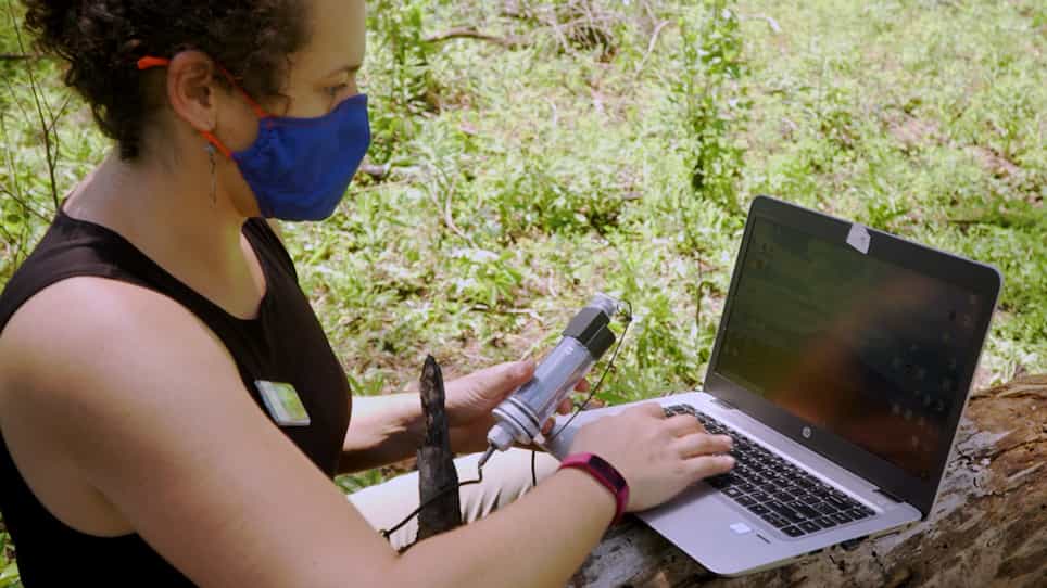 Field-Based Thermal Physiology Assay: Cold Shock Recovery under Ambient Conditions