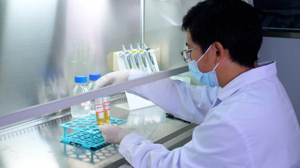 Large-Scale Preparation of Synovial Fluid Mesenchymal Stem Cell-Derived Exosomes by 3D Bioreactor Culture