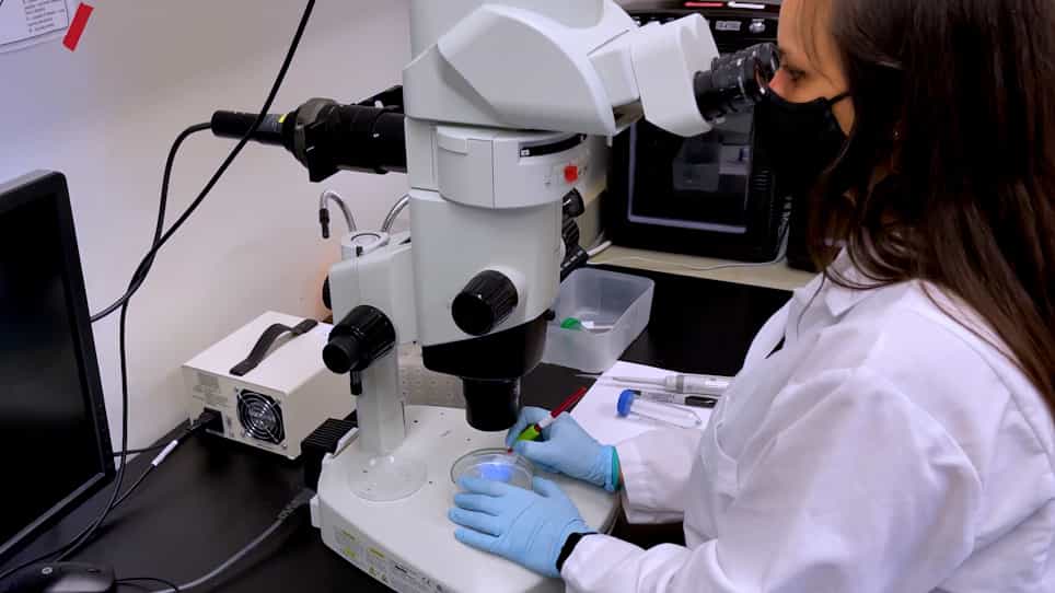 Comparative Analysis of Experimental Methods to Quantify Animal Activity in Caenorhabditis elegans Models of Mitochondrial Disease