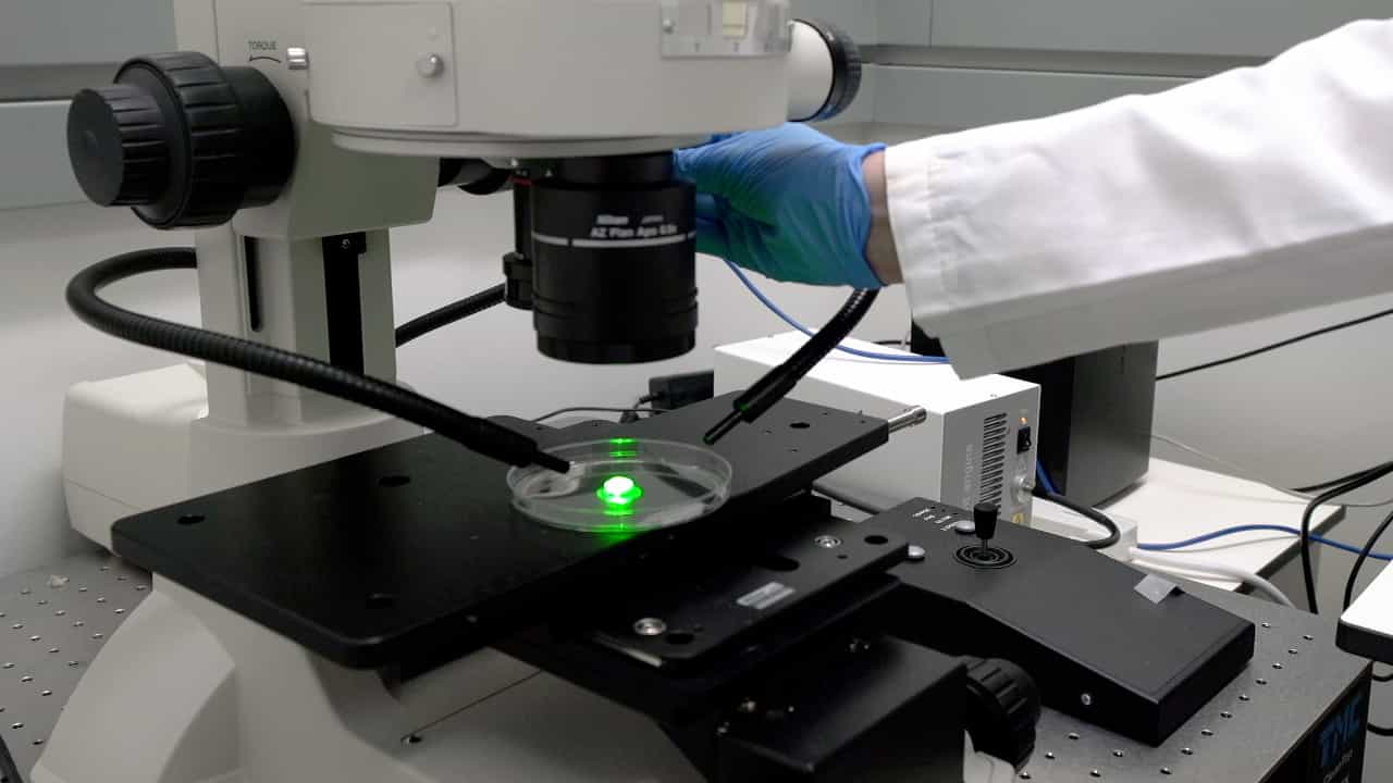 Modeling Brain Metastasis Via Tail-Vein Injection of Inflammatory Breast Cancer Cells