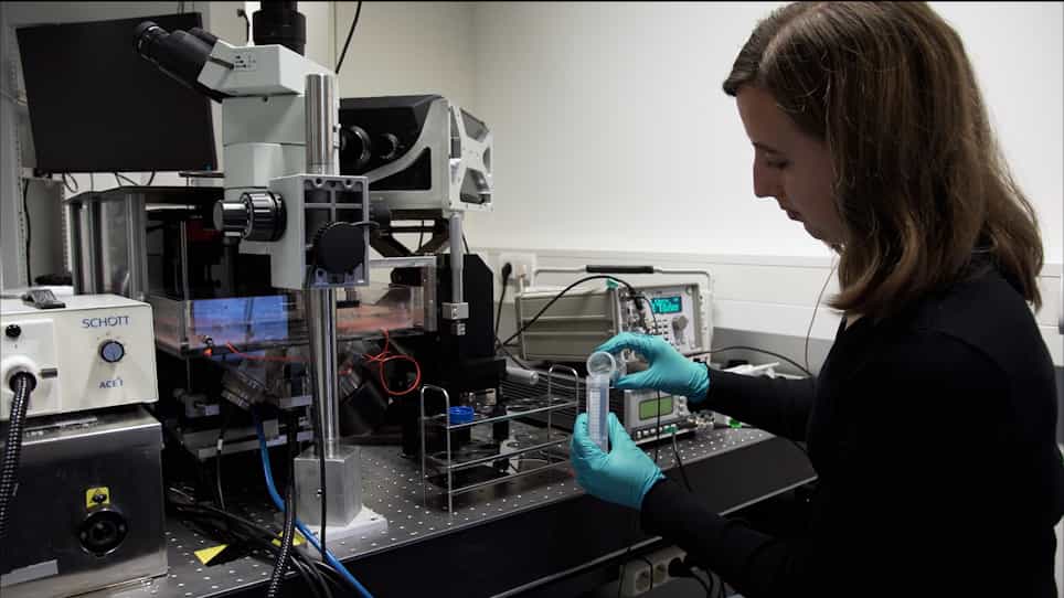 Multi-timescale Microscopy Methods for the Characterization of Fluorescently-labeled Microbubbles for Ultrasound-Triggered Drug Release