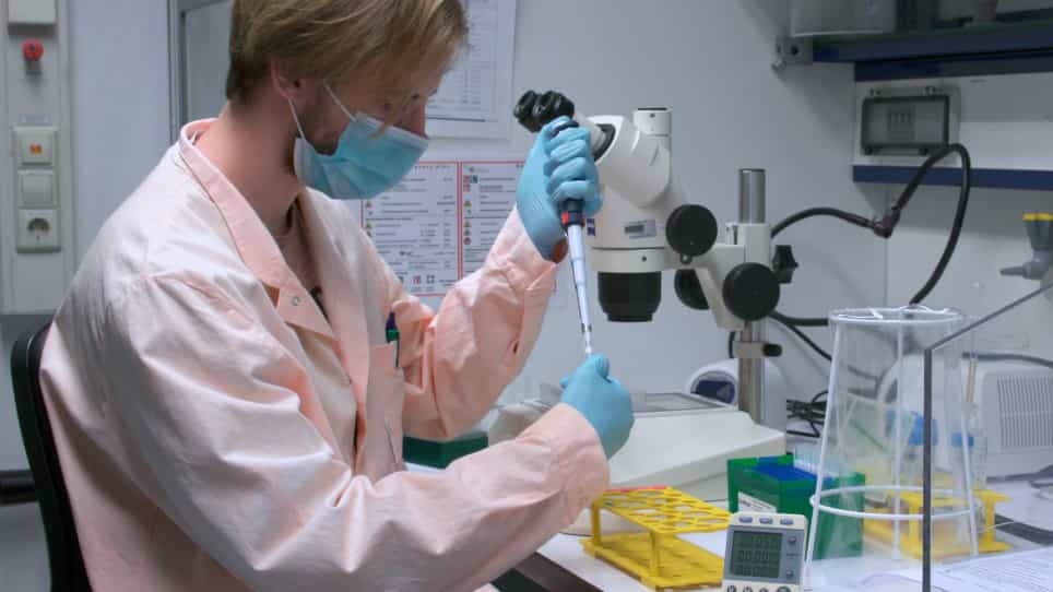 Single Myofiber Culture Assay for the Assessment of Adult Muscle Stem Cell Functionality Ex Vivo