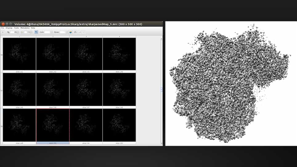 Cryo-EM and Single-Particle Analysis with Scipion
