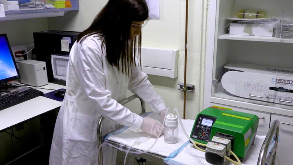 In Vitro 3D Cell-Cultured Arterial Models for Studying Vascular Drug Targeting Under Flow