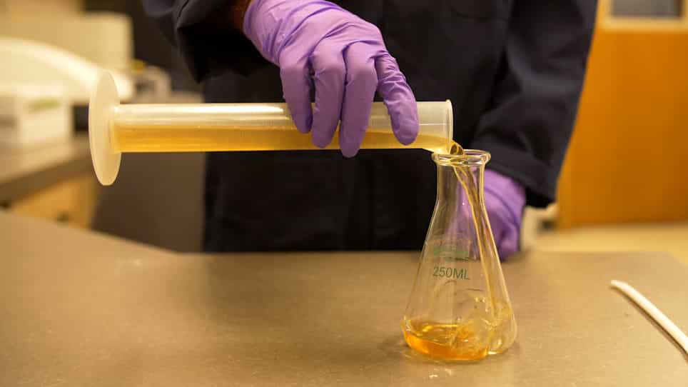 Bacterial Cellulose Spheres that Encapsulate Solid Materials