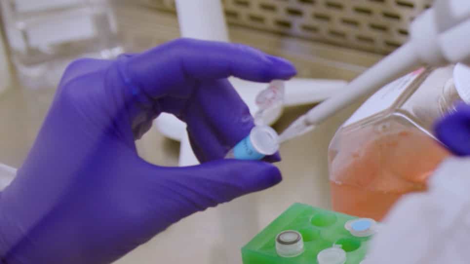 Natural Killer NK and CAR-NK Cell Expansion Method using Membrane Bound-IL-21-Modified B Cell Line