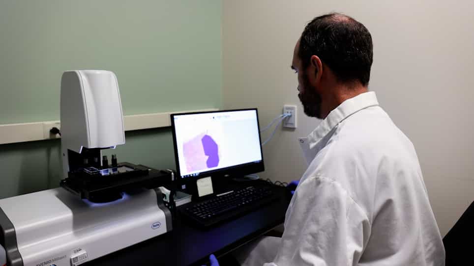 Automated Dissection Protocol for Tumor Enrichment in Low Tumor Content Tissues