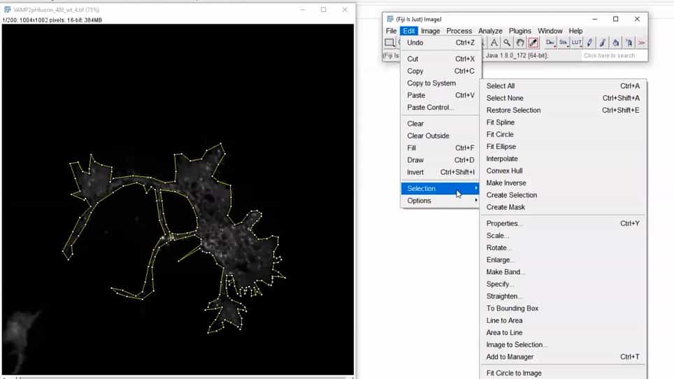 Automated Detection and Analysis of Exocytosis