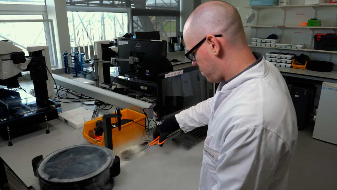 Achieving Efficient Fragment Screening at XChem Facility at Diamond Light Source