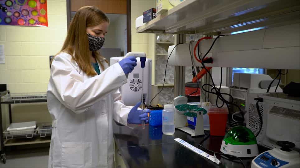 Tools for the Real-Time Assessment of a Pseudomonas aeruginosa Infection Model