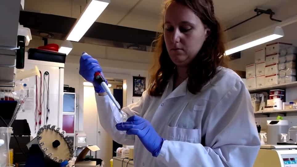 Exploring m6A and m5C Epitranscriptomes upon Viral Infection: an Example with HIV