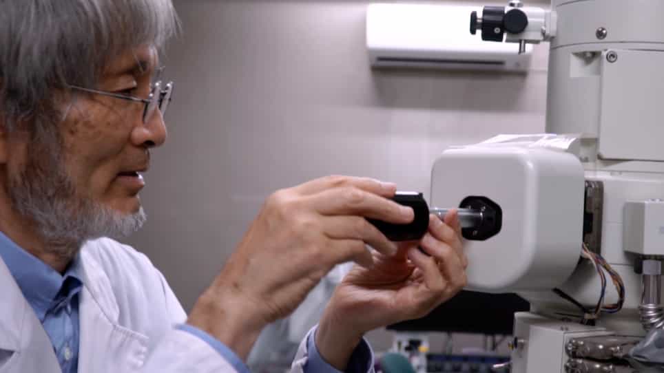 Rapid Freezing using Sandwich Freezing Device for Good Ultrastructural Preservation of Biological Specimens in Electron Microscopy