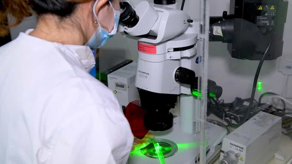 Using the Fluorescent Dye, Rhodamine B, to Study Mating Competitiveness in Male Aedes aegypti Mosquitoes