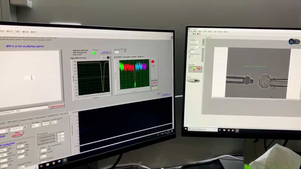 Molecular Spring Constant Analysis by Biomembrane Force Probe Spectroscopy