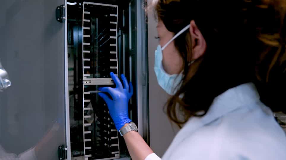 The Automated Crystallography Pipelines at the EMBL HTX Facility in Grenoble
