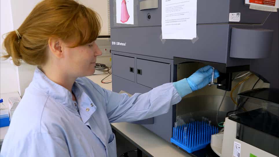 Analysis of SAMHD1 Restriction by Flow Cytometry in Human Myeloid U937 Cells