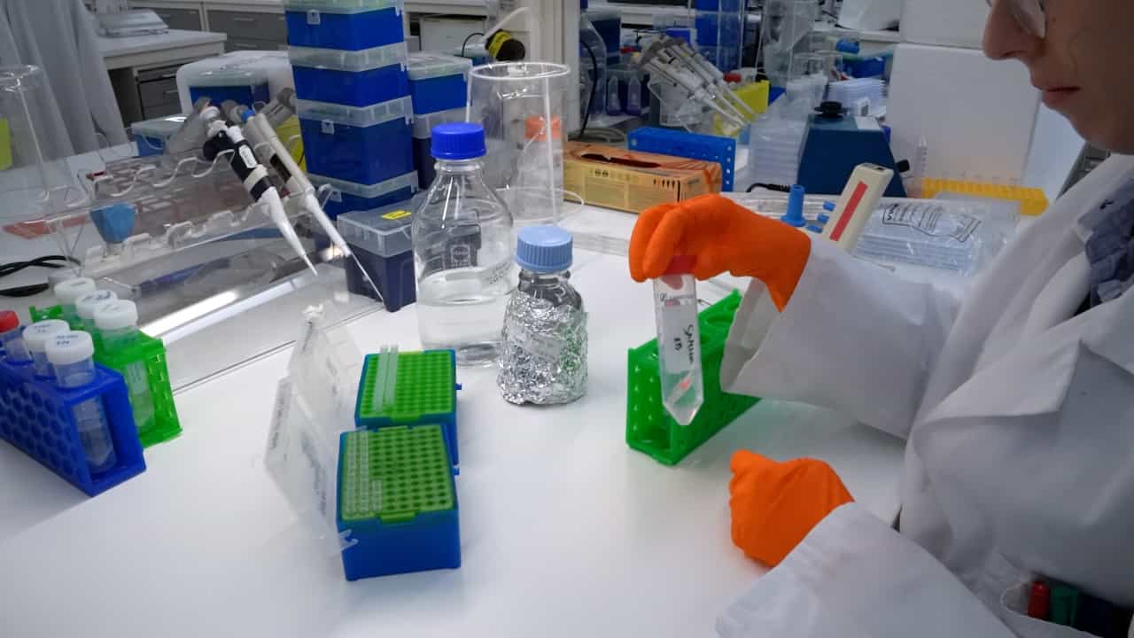 A High-Throughput Enzyme-Coupled Activity Assay to Probe Small Molecule Interaction with the dNTPase SAMHD1