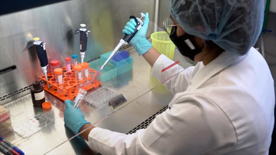 A Model of Experimental Steatosis In Vitro: Hepatocyte Cell Culture in Lipid Overload-Conditioned Medium