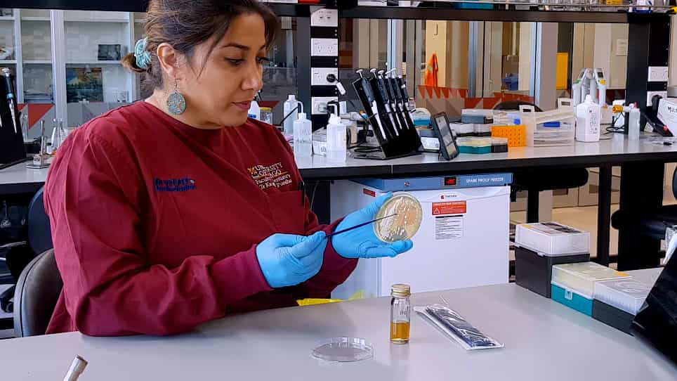 Small-Scale Plasma Membrane Preparation for the Analysis of Candida albicans Cdr1-mGFPHis