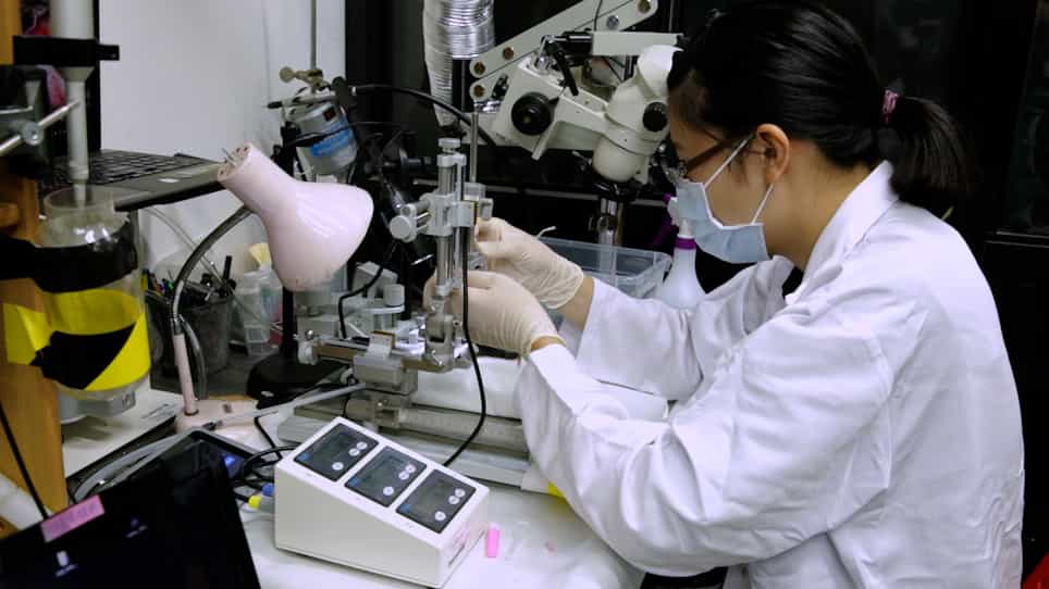 Using Baseplating and a Miniscope Preanchored with an Objective Lens for Calcium Transient Research in Mice
