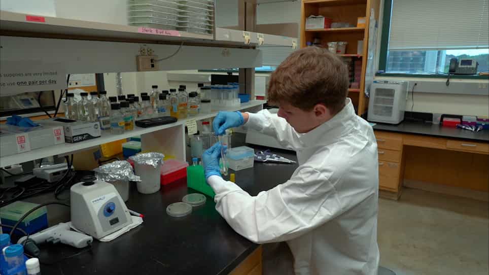 Extraction and Visualization of Protein Aggregates after Treatment of Escherichia coli with a Proteotoxic Stressor