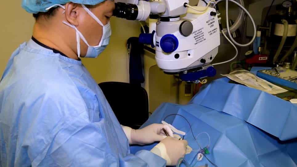 Retinal Pigment Epithelium Transplantation in a Non-human Primate Model for Degenerative Retinal Diseases