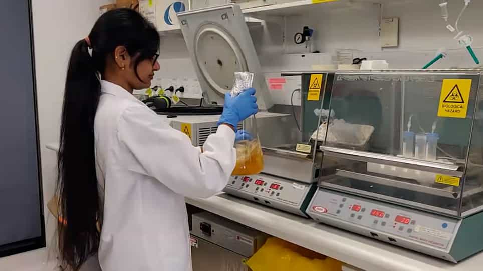 Rapid In Vivo Fixation and Isolation of Translational Complexes from Eukaryotic Cells