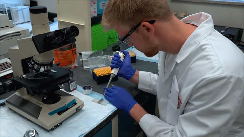 Macrophage Differentiation and Polarization into an M2-Like Phenotype using a Human Monocyte-Like THP-1 Leukemia Cell Line
