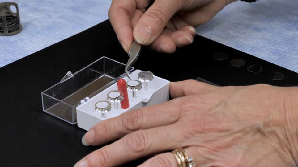 Visualizing Membrane Ruffle Formation using Scanning Electron Microscopy